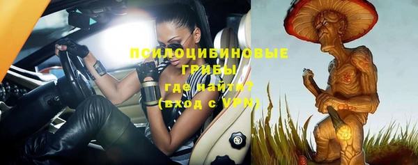 тгк Нея