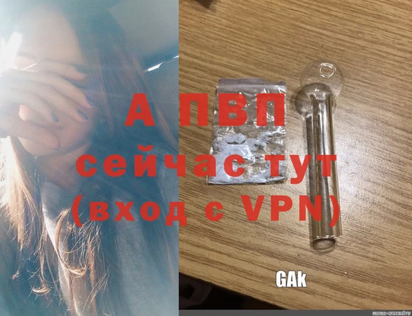 тгк Нея