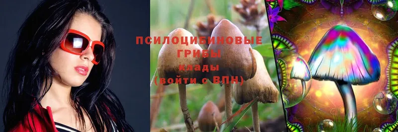 Псилоцибиновые грибы MAGIC MUSHROOMS  даркнет сайт  Мамоново 