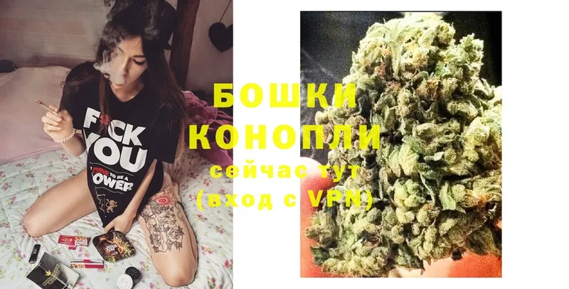 Каннабис SATIVA & INDICA  что такое   Мамоново 